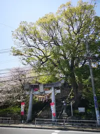 IMG_20200414_121112.jpg IMG_20200414_121112.jpg