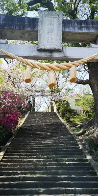 IMG_20200414_121416.jpg IMG_20200414_121416.jpg