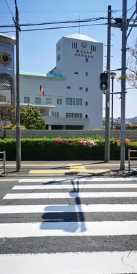 IMG_20200414_120629.jpg IMG_20200414_120629.jpg