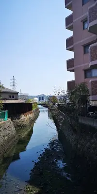 IMG_20200414_120707.jpg IMG_20200414_120707.jpg