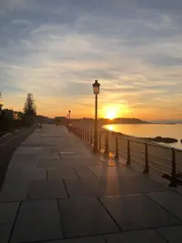 E8460713-F3AA-41F5-9F93-E65EAC2C6DFE.webp E8460713-F3AA-41F5-9F93-E65EAC2C6DFE.webp