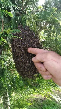 51261E95-ED99-4E78-BD0F-9DEC78EE86C3.webp 51261E95-ED99-4E78-BD0F-9DEC78EE86C3.webp