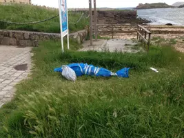 82A37BB0-9565-44DF-A2FD-9A1F6B433608.webp 82A37BB0-9565-44DF-A2FD-9A1F6B433608.webp