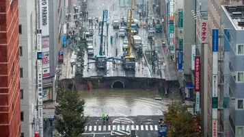 images (4).jpeg images (4).jpeg