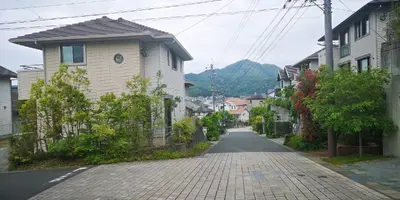 IMG_20200515_105015.webp IMG_20200515_105015.webp