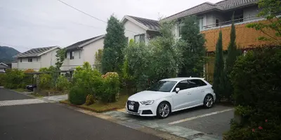 IMG_20200515_104659.webp IMG_20200515_104659.webp