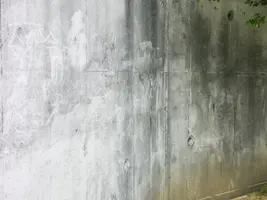 IMG_20200515_103741.webp IMG_20200515_103741.webp