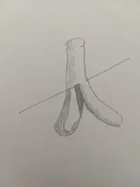 IMG_20200529_172214.jpg IMG_20200529_172214.jpg