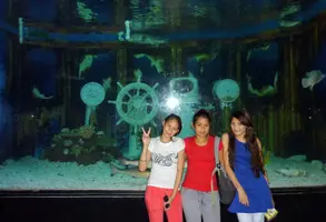 P1050636~2.JPG P1050636~2.JPG