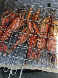 B2484EDF-3B40-46D1-BB72-994B8629E842.webp B2484EDF-3B40-46D1-BB72-994B8629E842.webp