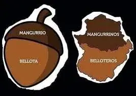 1597042177262.webp 1597042177262.webp