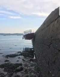 B443E6A1-F469-4CE6-B55C-C1F988F30EE4.webp B443E6A1-F469-4CE6-B55C-C1F988F30EE4.webp