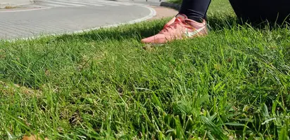 20200920_162846.webp 20200920_162846.webp