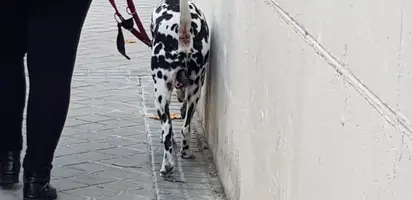 20201001_160012.webp 20201001_160012.webp