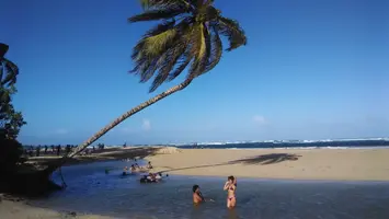 IMG_20141123_161234.jpg IMG_20141123_161234.jpg