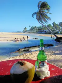 PC_20141123_160516_PerfectlyClear.jpg PC_20141123_160516_PerfectlyClear.jpg