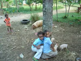 DSC02777.JPG DSC02777.JPG