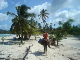 DSC02937.JPG DSC02937.JPG