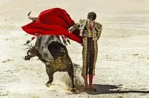 63BEEC8D-0668-4C74-B29C-4143B28B5F32.jpeg 63BEEC8D-0668-4C74-B29C-4143B28B5F32.jpeg