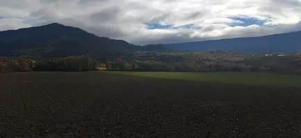 IMG_20201026_115406.webp IMG_20201026_115406.webp