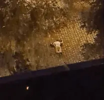 20201102_230759.webp 20201102_230759.webp