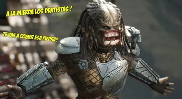 piedrator.webp piedrator.webp