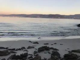 47F69996-530F-4E4D-96A6-D50626BF221B.webp 47F69996-530F-4E4D-96A6-D50626BF221B.webp