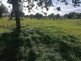 IMG_20201207_151221.webp IMG_20201207_151221.webp