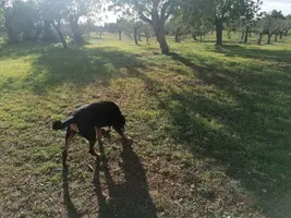 IMG_20201207_151127.webp IMG_20201207_151127.webp