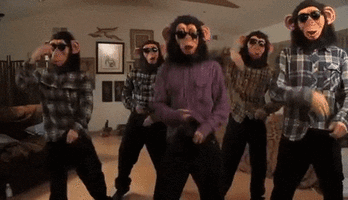 FeistyAromaticFruitbat-small.gif FeistyAromaticFruitbat-small.gif