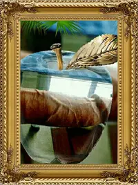 photostudio_1528698291932.webp photostudio_1528698291932.webp