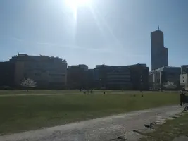 16170231494185777751976129716663.jpg 16170231494185777751976129716663.jpg