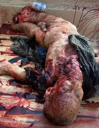 1220542286323.webp 1220542286323.webp