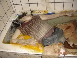 1267643861768.webp 1267643861768.webp