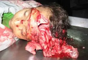 1216667516502.webp 1216667516502.webp