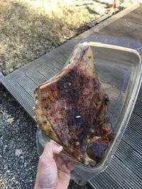 712D72E4-69B9-4AB5-9B73-1A60C1CD83AB.webp 712D72E4-69B9-4AB5-9B73-1A60C1CD83AB.webp