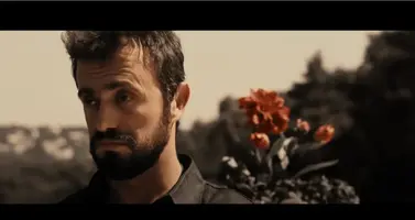 1623941784968.webp 1623941784968.webp