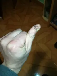 27047287_1916139155083381_368761737_o.webp 27047287_1916139155083381_368761737_o.webp