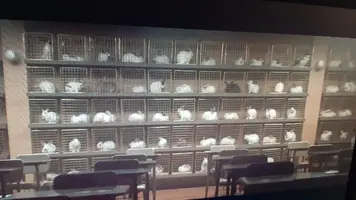 20210829_132426.webp 20210829_132426.webp