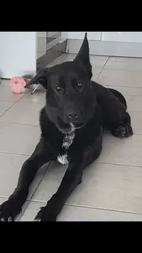 1630939365962.webp 1630939365962.webp