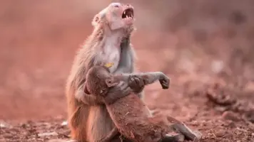 FotoJet-22.jpg FotoJet-22.jpg