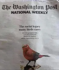 mdgmefefoxj.webp mdgmefefoxj.webp