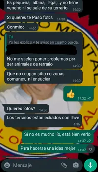 Screenshot_20211022-003952~2.png Screenshot_20211022-003952~2.png