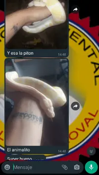 Screenshot_20211022-004057~2.png Screenshot_20211022-004057~2.png