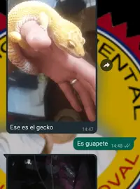 Screenshot_20211022-032617~4.webp Screenshot_20211022-032617~4.webp