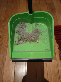 IMG20211011182456.jpg IMG20211011182456.jpg