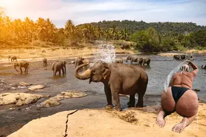 1637671135486.webp 1637671135486.webp