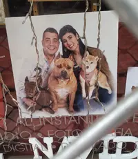 IMG_20211207_121217.webp IMG_20211207_121217.webp