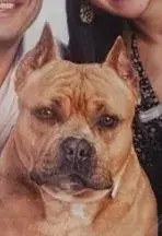 Querido_San_Nicolás__ForoPL.com_-_Google_Chrome_2021-12-08_17-22-01.webp Querido_San_Nicolás__ForoPL.com_-_Google_Chrome_2021-12-08_17-22-01.webp