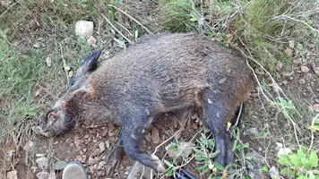 20211211_161505.webp 20211211_161505.webp